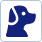Pet/Animal Detection
